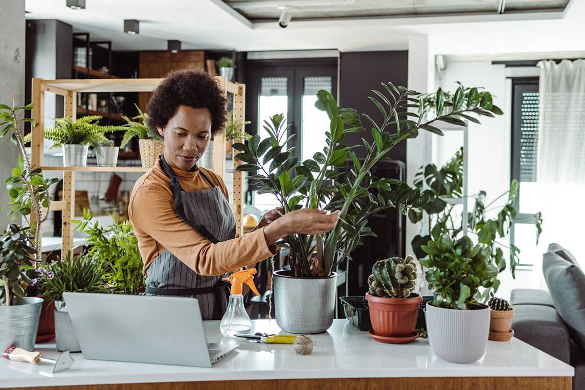 Desktop Woman Gardening